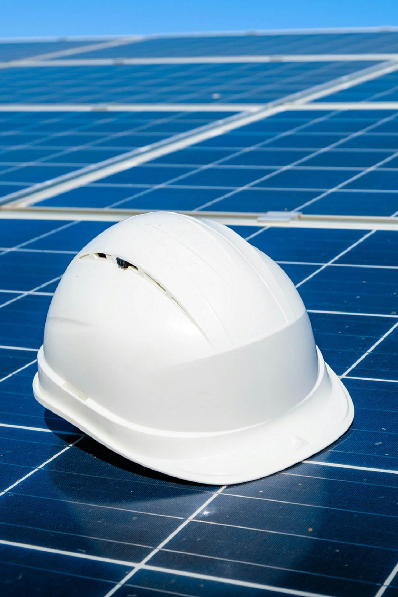 processos de concurso- Sunsei