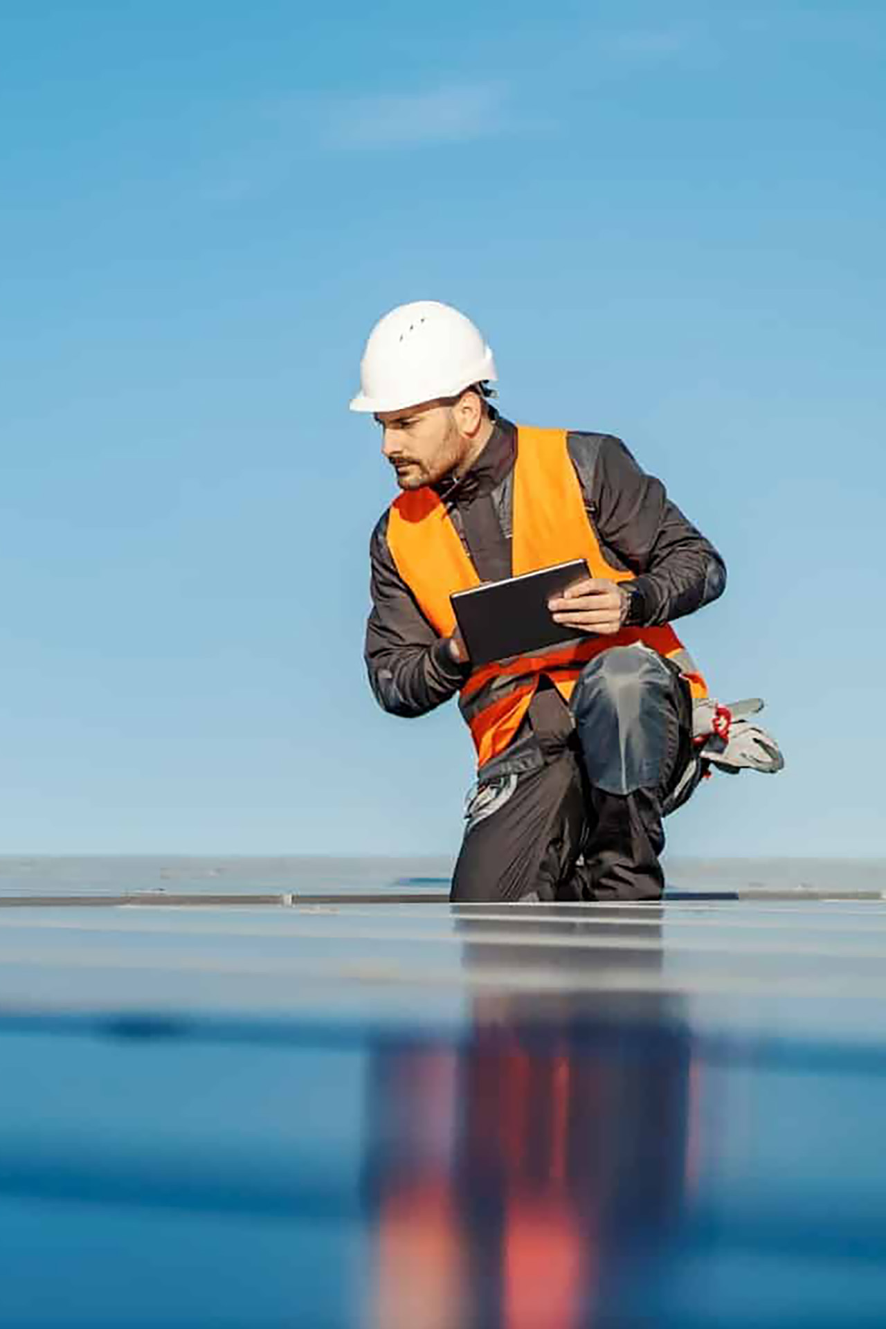 Estudos-de-Viabilidade-Sunsei